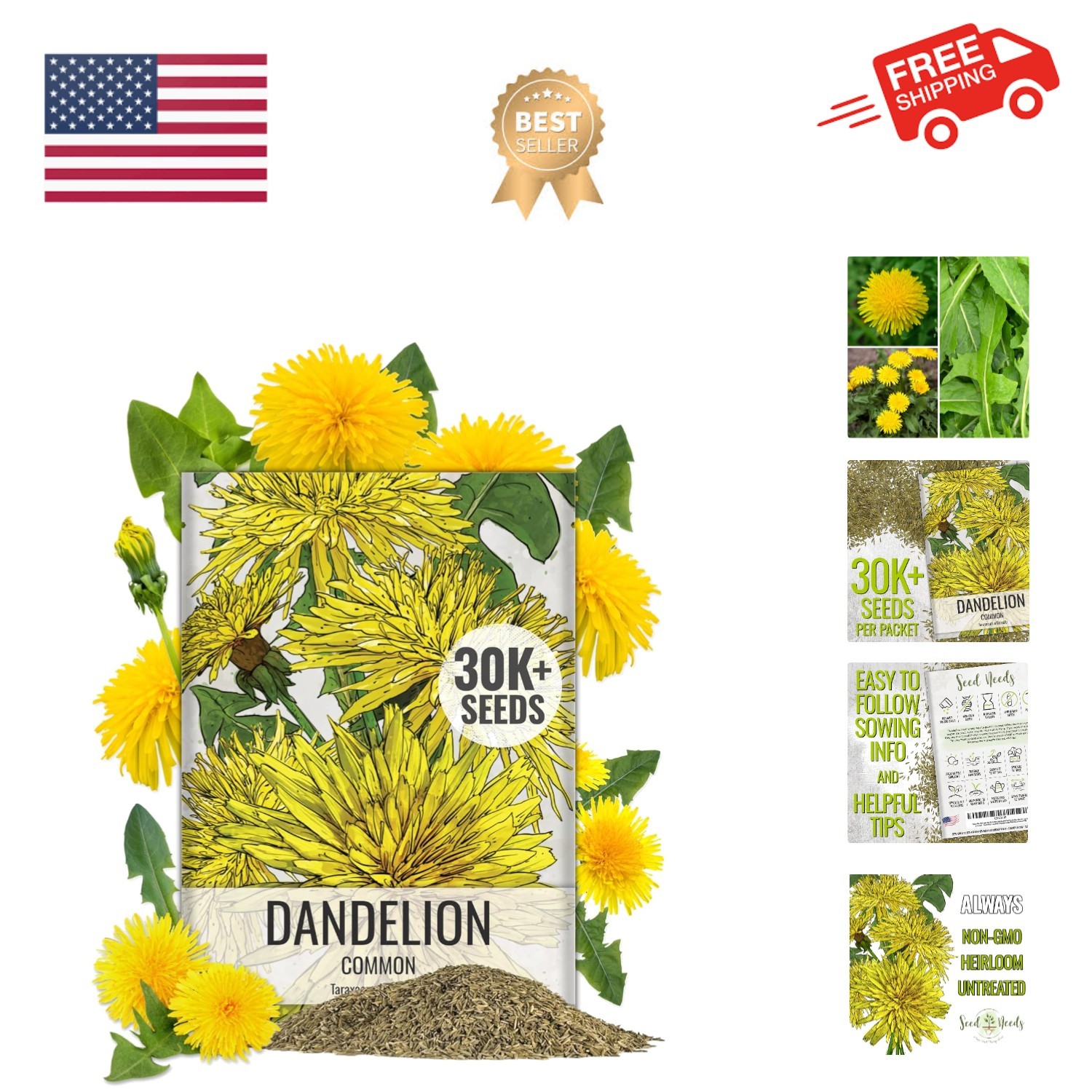 30,000+ Common Dandelion Herb Seeds for Planting – Non-GMO, Heirloom & Untrea…