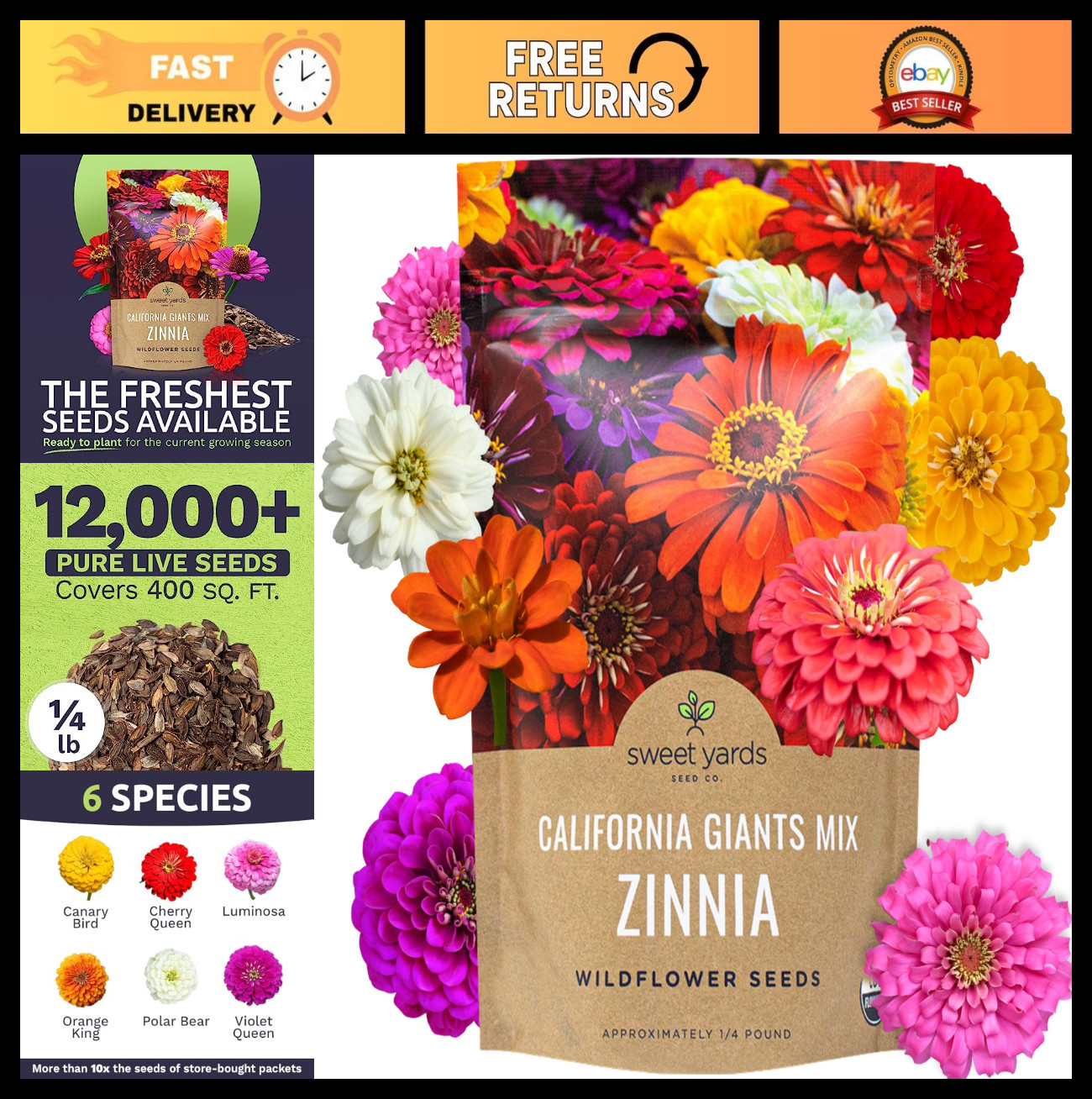 Bulk Zinnia Seeds – California Giants Mix – 1/4 lb Bag, 12,000+ Colorful Flower