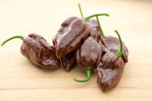20 Fresh Caribbean Chocolate Habanero Premium Pepper Seeds-A 19
