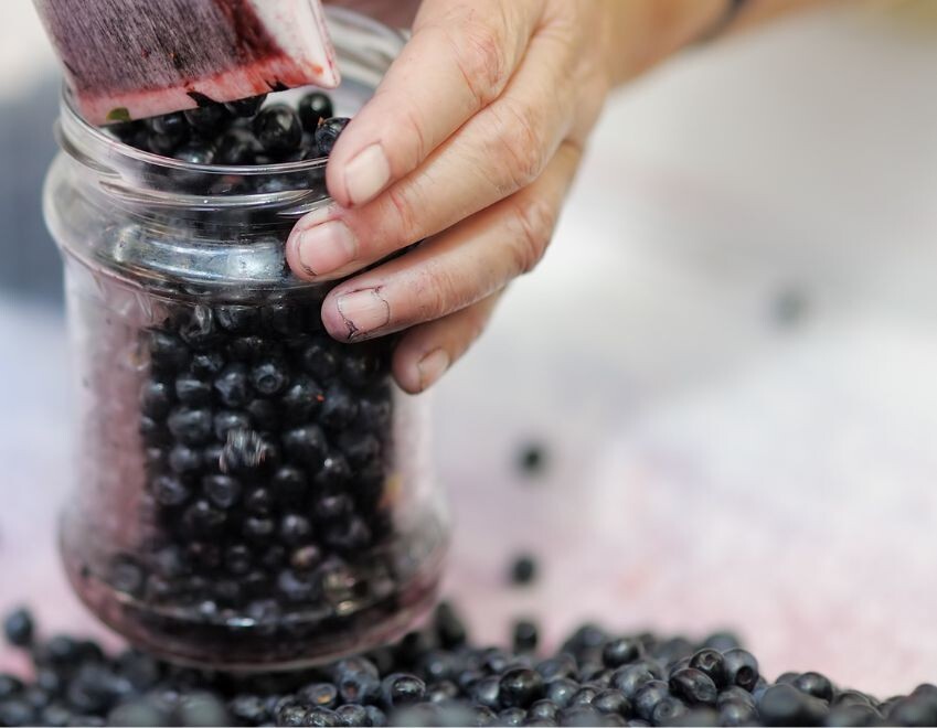 125 Huckleberry Seeds, USA Seller Free Shipping Fruit Seeds Fragrant