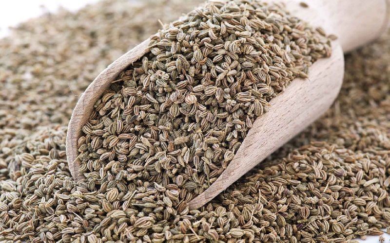 NY Spice Shop Celery Seeds – Whole Natural Spice for Cooking & Pickling