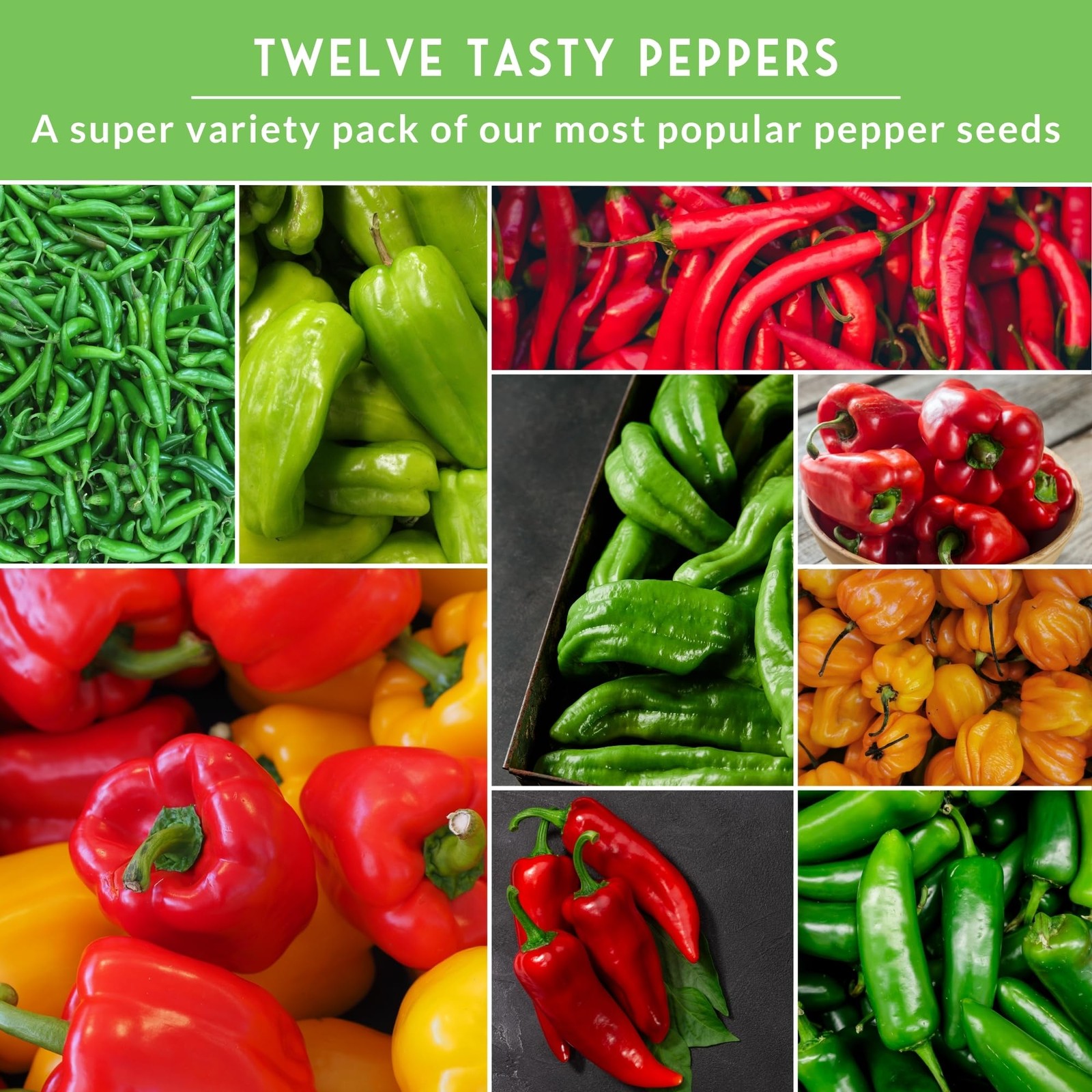 Pepper Seeds for Planting 12 Variety Pack | Jalapeño, Serrano, Cayenne, Bell…