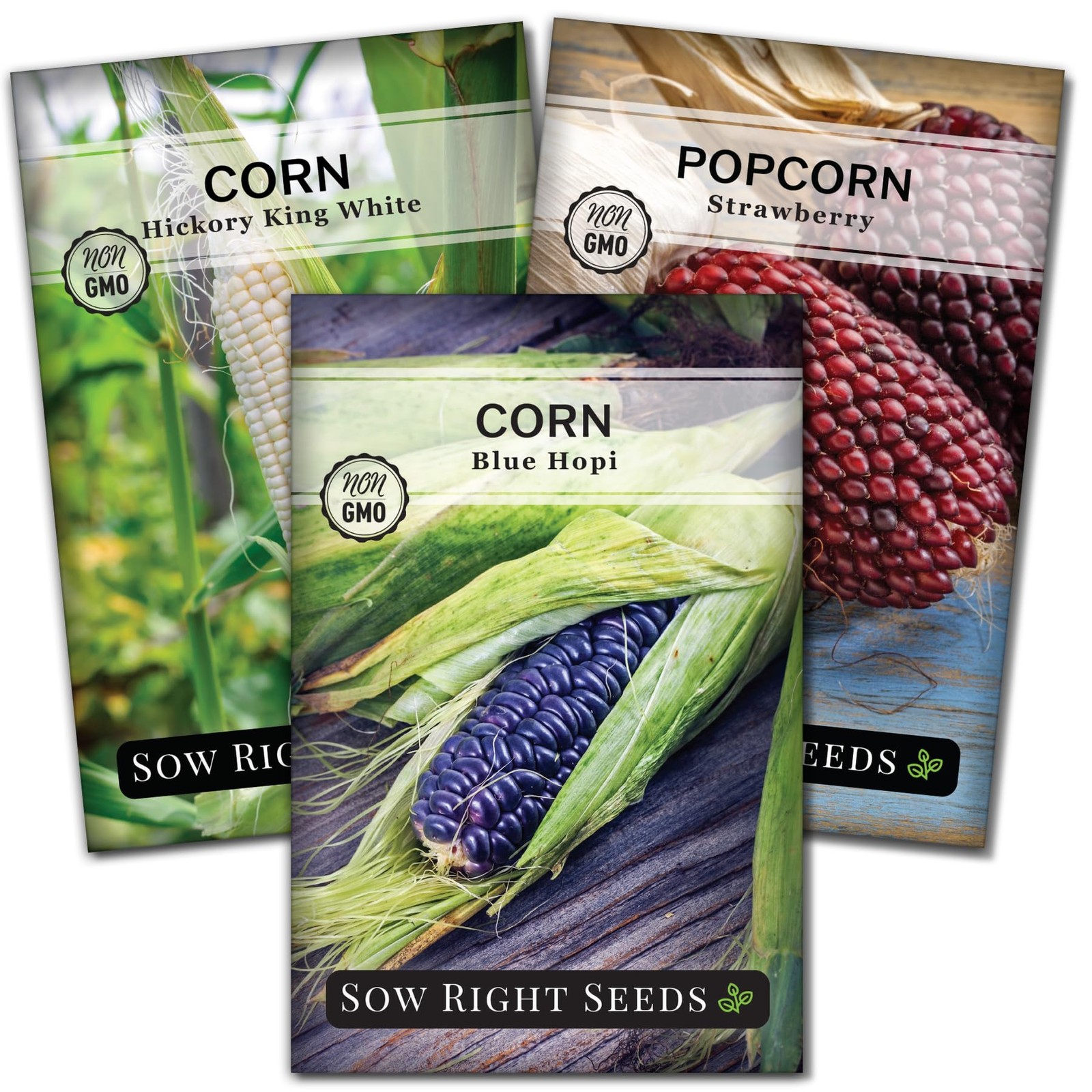 Rare Corn Seed Collection for Planting Strawberry Popcorn, Blue Hopi and Wh…