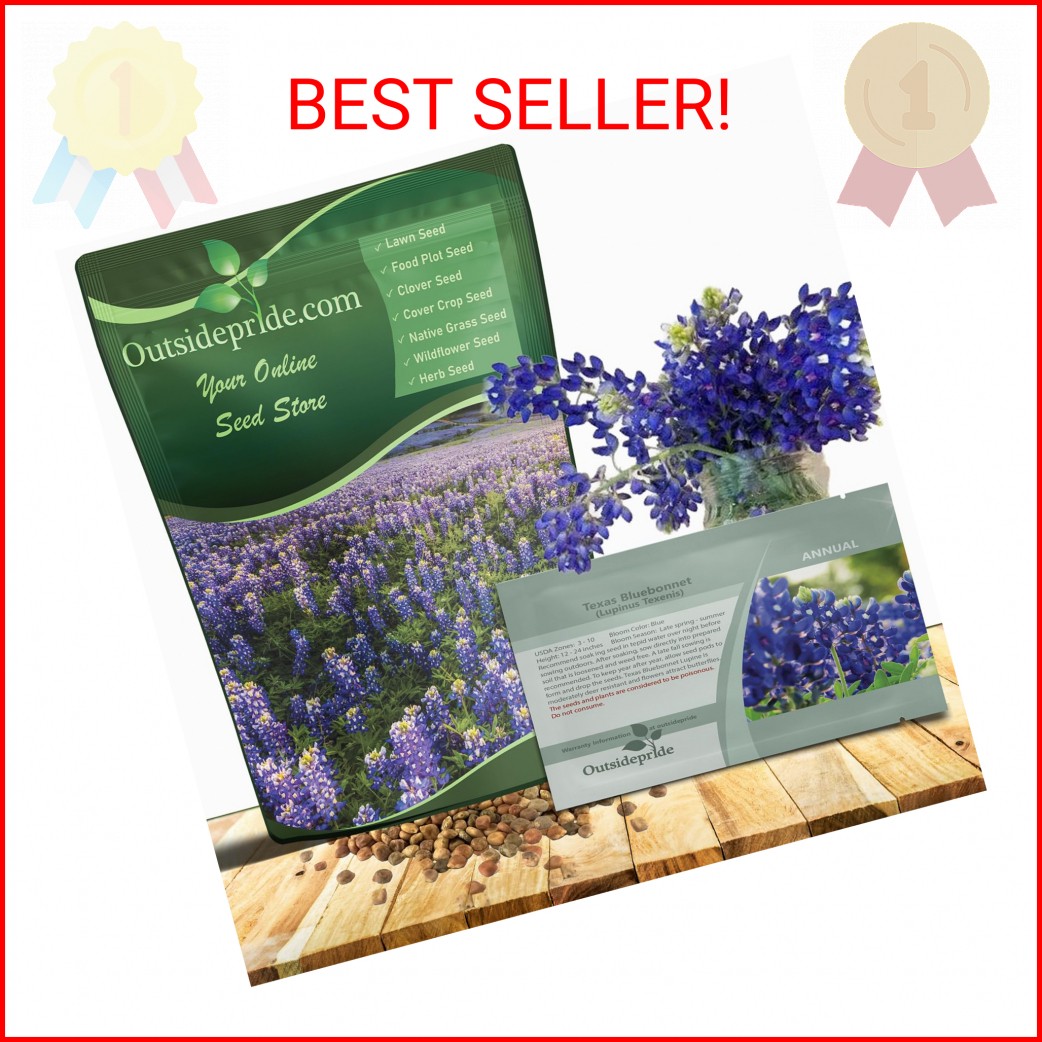 Outsidepride Texas Bluebonnet Seeds – 500 Pcs Annual Lupinus Texensis, Heirloom