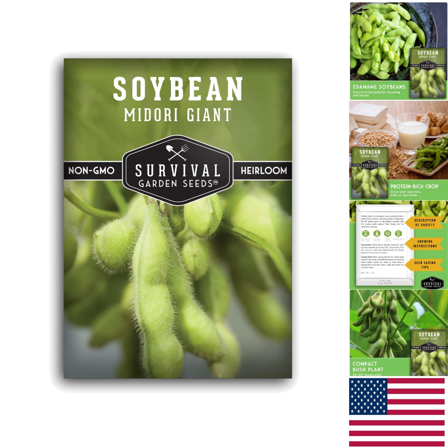 Midori Giant Non-GMO Soybean Seeds – Grow Edamame & Healthy Protein-Rich Pods