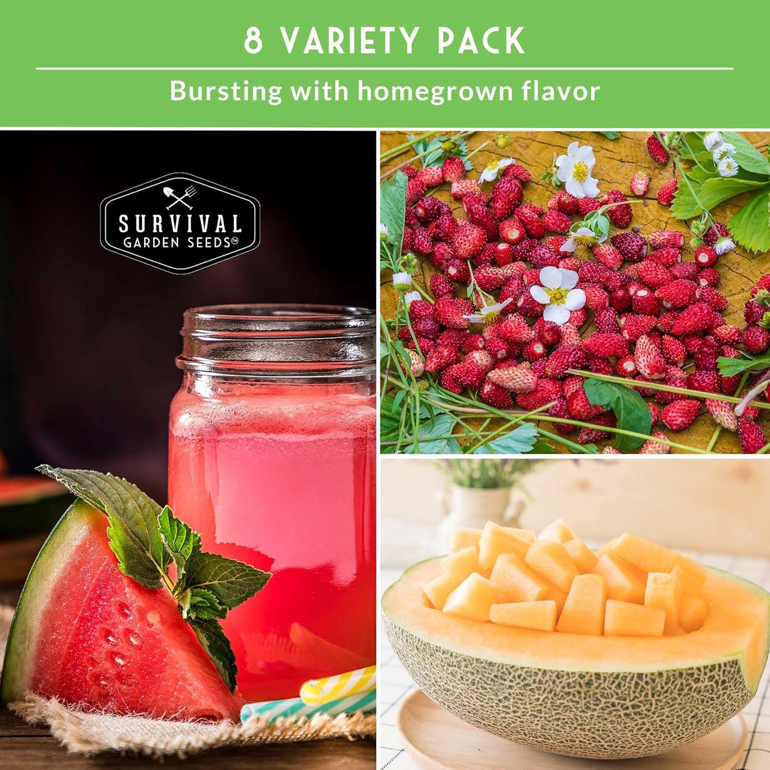 Fruit Seeds for Planting – 8 Variety Pack | Watermelon, Cantaloupe, Melon, Straw