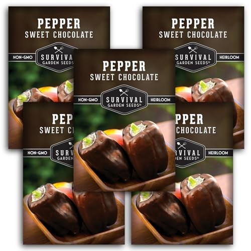 Sweet Chocolate Pepper Seeds for Planting – Unique Heirloom Brown Bell 5