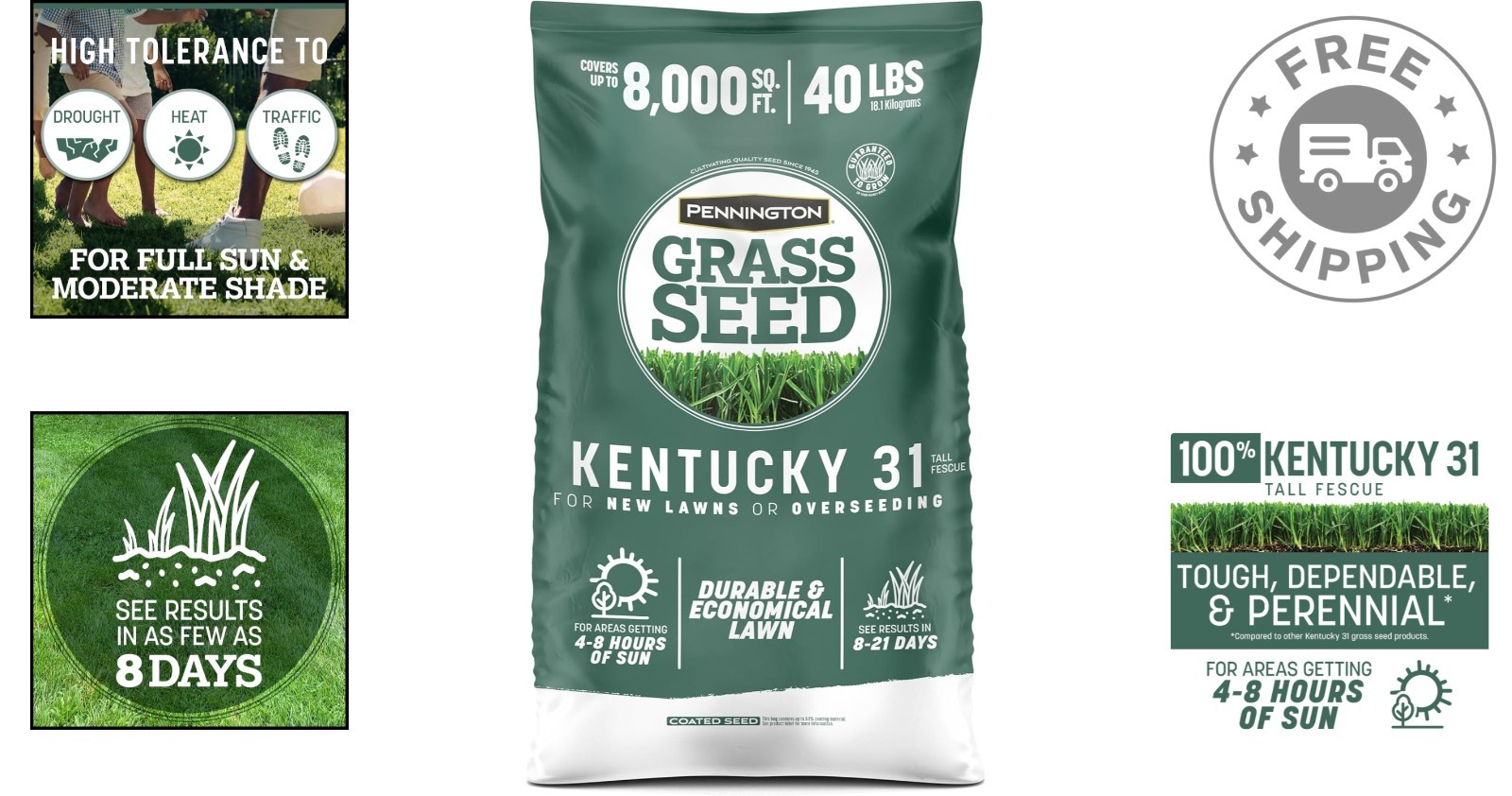 Kentucky 31 Tall Fescue Grass Seed – 40 lbs of Durable, Drought-Resistant Turf