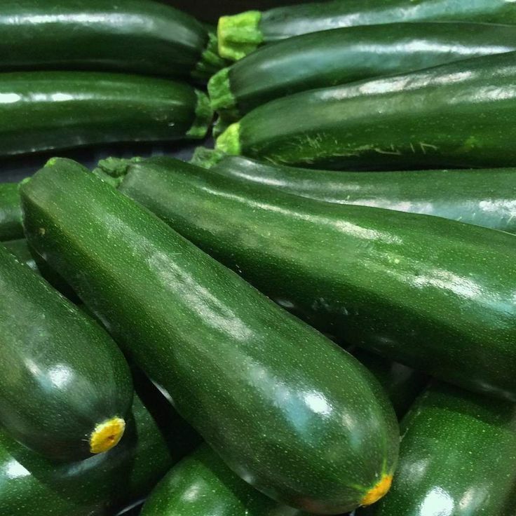 Squash Black Beauty Zucchini Seeds 25 Ct Summer Vegetable NON-GMO FREE SHIPPING