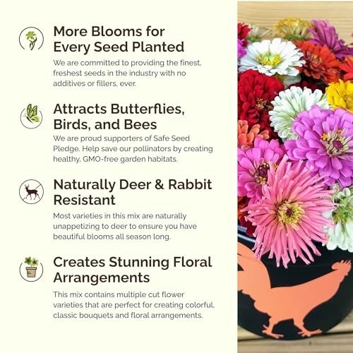 Zinnia Seeds Mix for Planting – 1 lb Non-GMO Flower Seeds, 6 Varieties, 480K+ Se