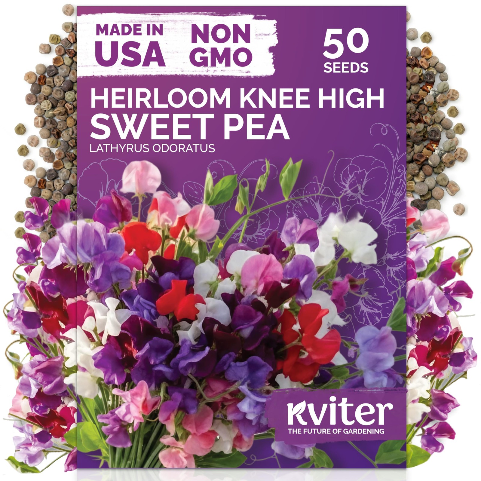 KVITER 50 Knee High Sweet Pea Seeds (Lathyrus Odoratus)