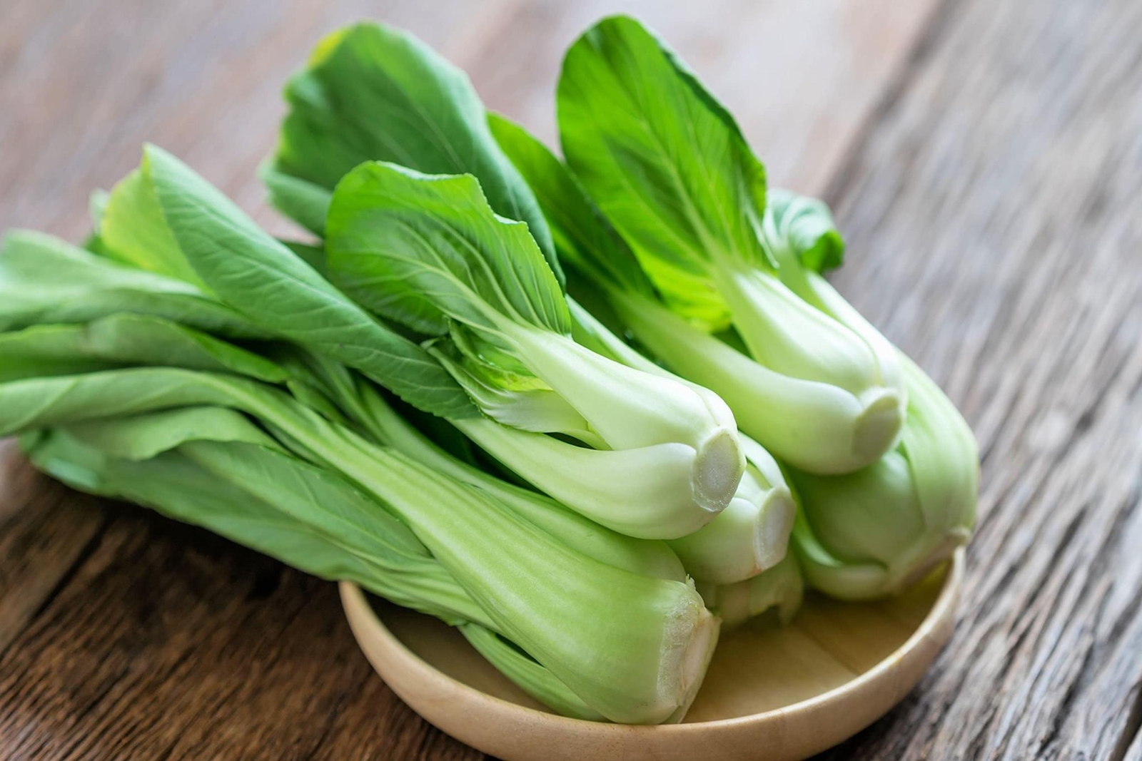 Bok Choy Chinese Cabbage Seeds for Planting – (Pak Choi) Heirloom, Non-GMO Veget