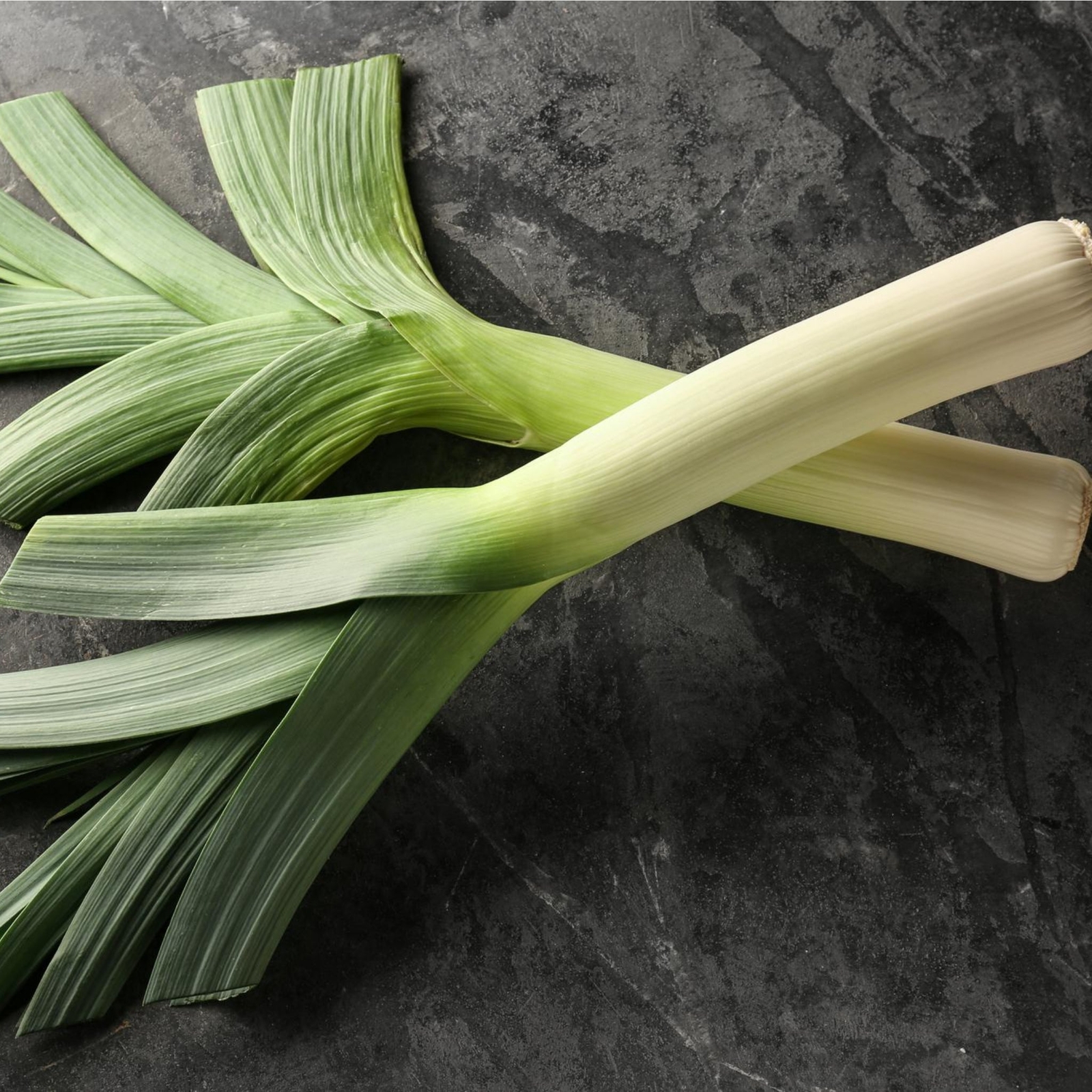 American Flag Leeks – Seeds – Organic – Non Gmo – Heirloom Seeds