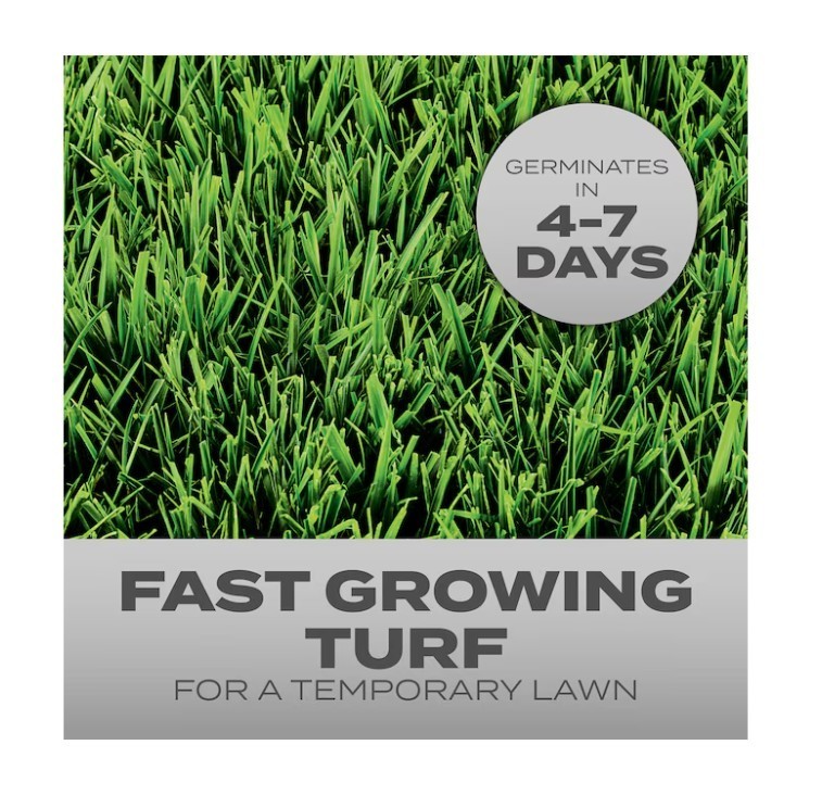 [FASH SALE] Scotts Quick Fix Mix Grass Seed 3 lb Bags 2 Pack Lawn Repair New