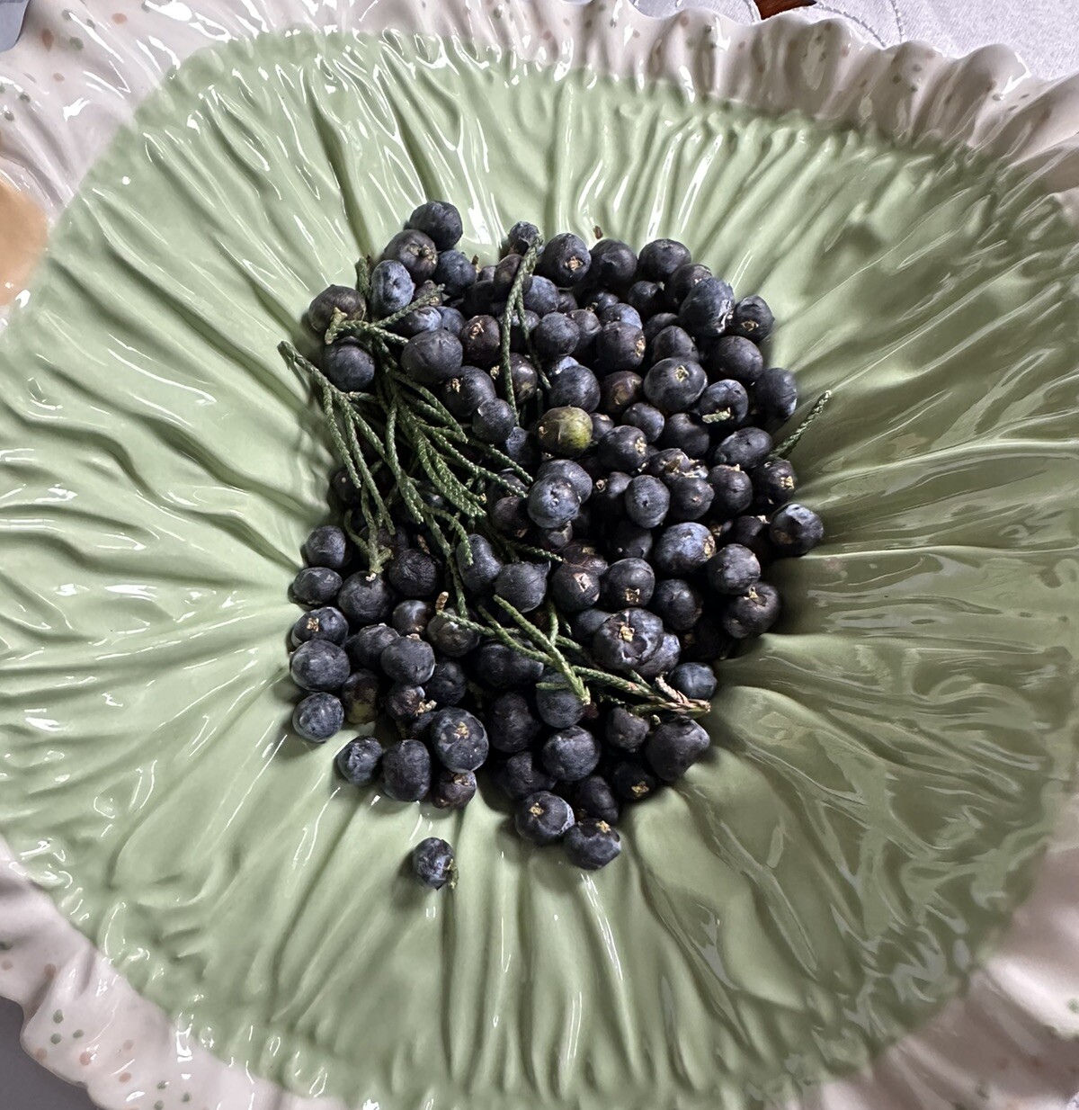 24 Seeds Of Eastern Red Cedar (Juniperus virginiana) Harvested On 12/30/2023