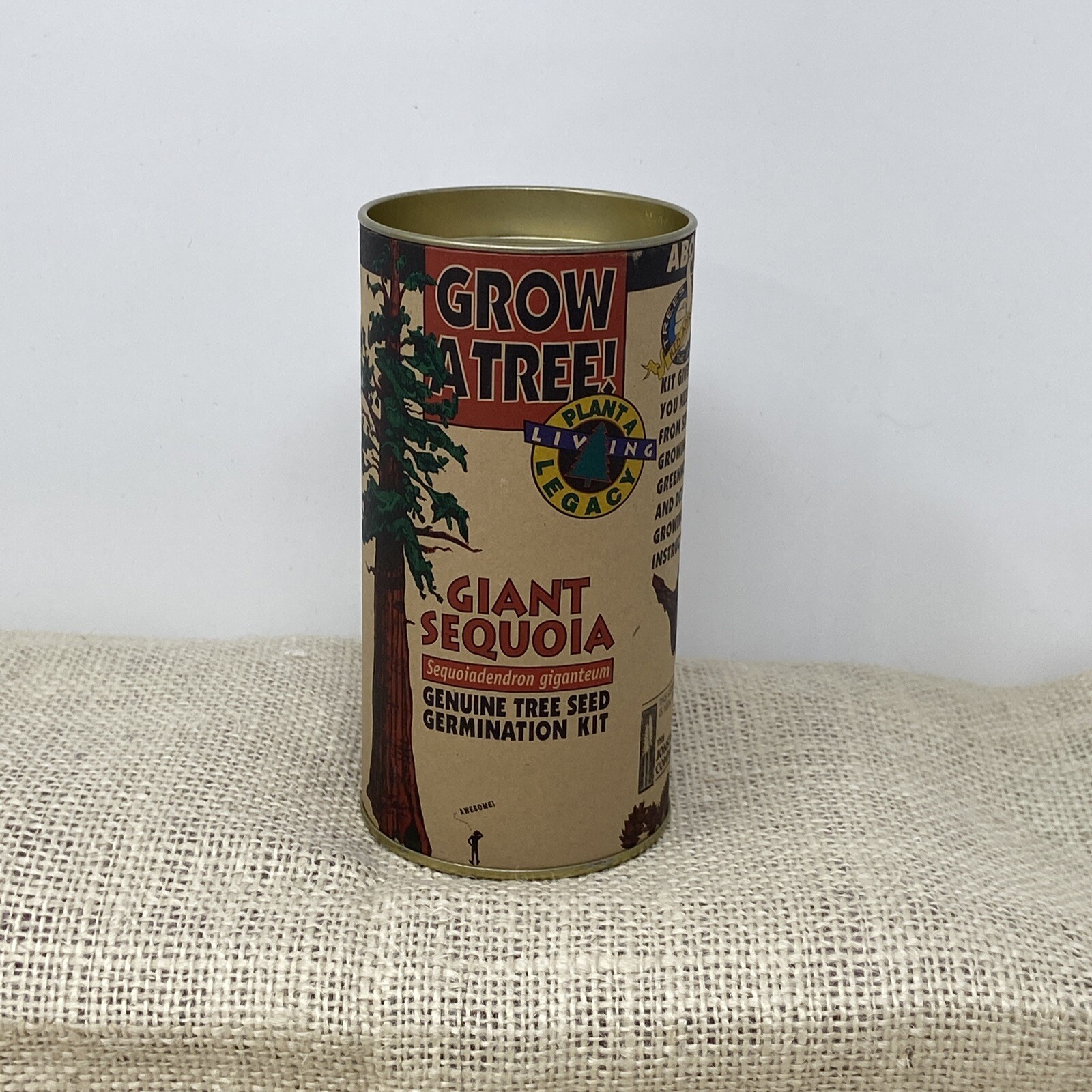 Giant Sequoia Genuine Tree Seed Germination Kit