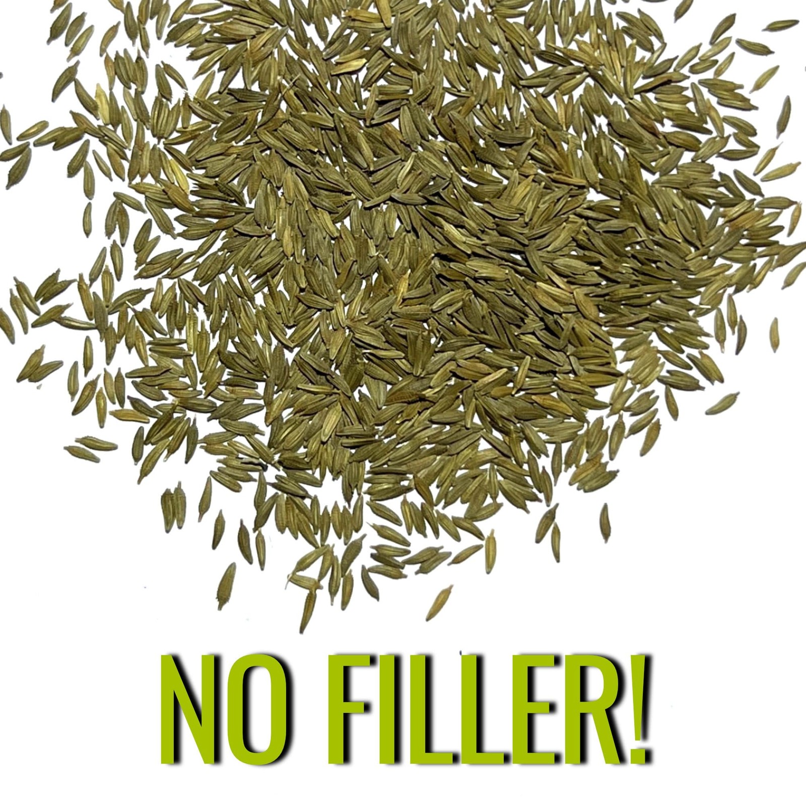 Dandelion Seeds Bulk Herb Garden Planting Taraxacum Officinale 30000 Plus