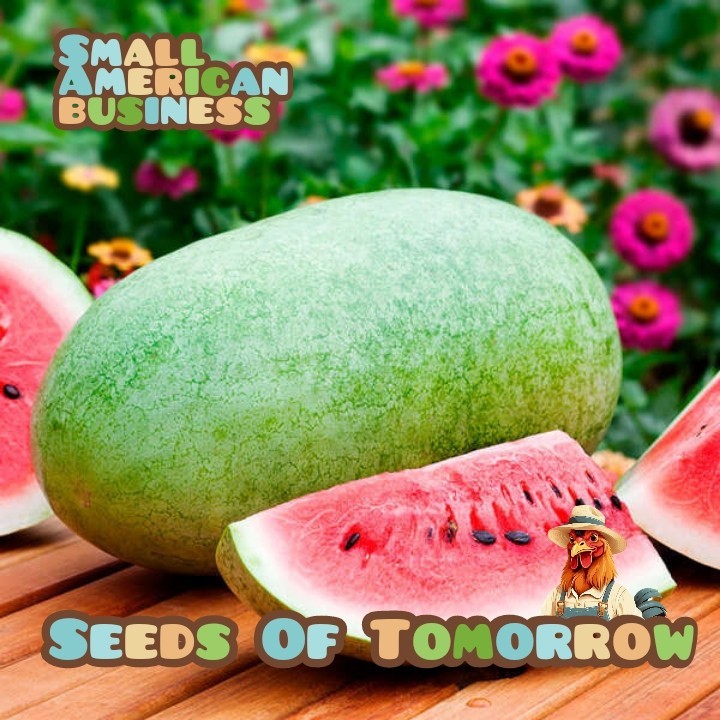 40 Charleston Grey Watermelon Seeds-with Bonus! |Organic Non-GMO Heirloom
