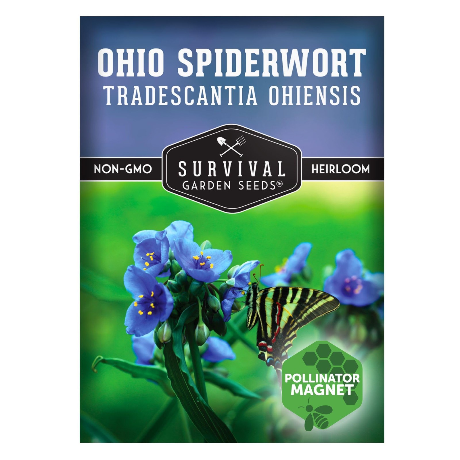 Ohio Spiderwort Seeds – Heirloom Non-GMO, Blue Blooms, Shade Tolerant