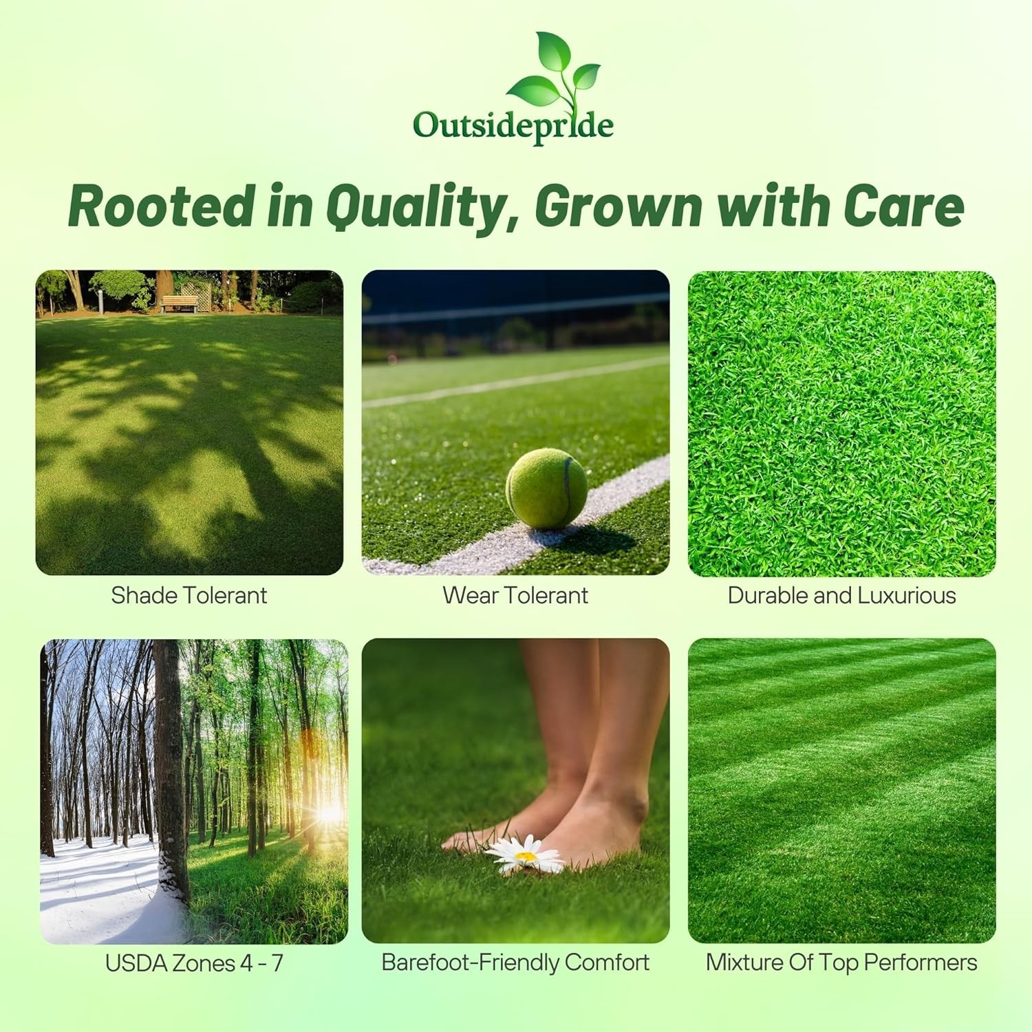 25 LBS – OptiGrowth Coated Showtime grass seed mix of fine fescue, Kentucky