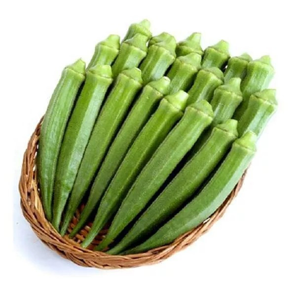 100+ Perkins Long Pod Okra Seeds — Heirloom – NON GMO — FRESH