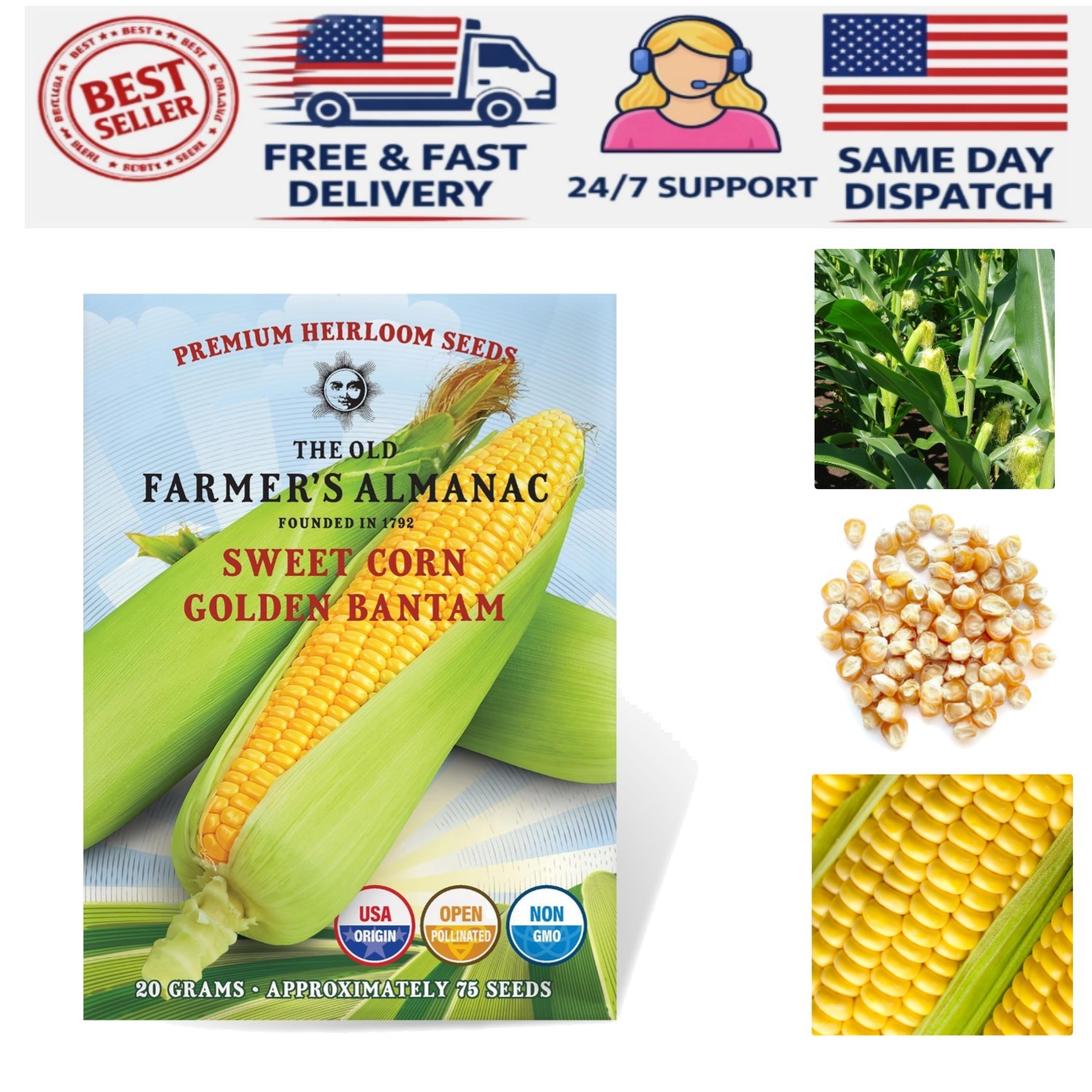 Heirloom Golden Bantam Sweet Corn Seeds – Non-GMO, 75 Seeds for Spring Planting