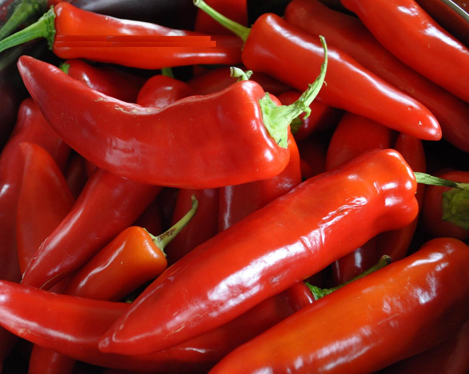 Red Banana Pepper Seeds (20) / MILD / ORGANIC / FLORIDA GROWN /