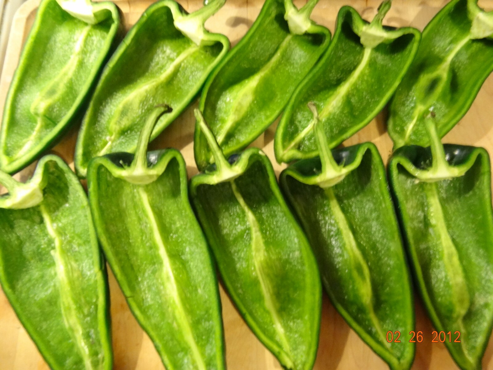 50+POBLANO ANCHO HOT PEPPER Seeds Organic Summer Vegetable Garden Container