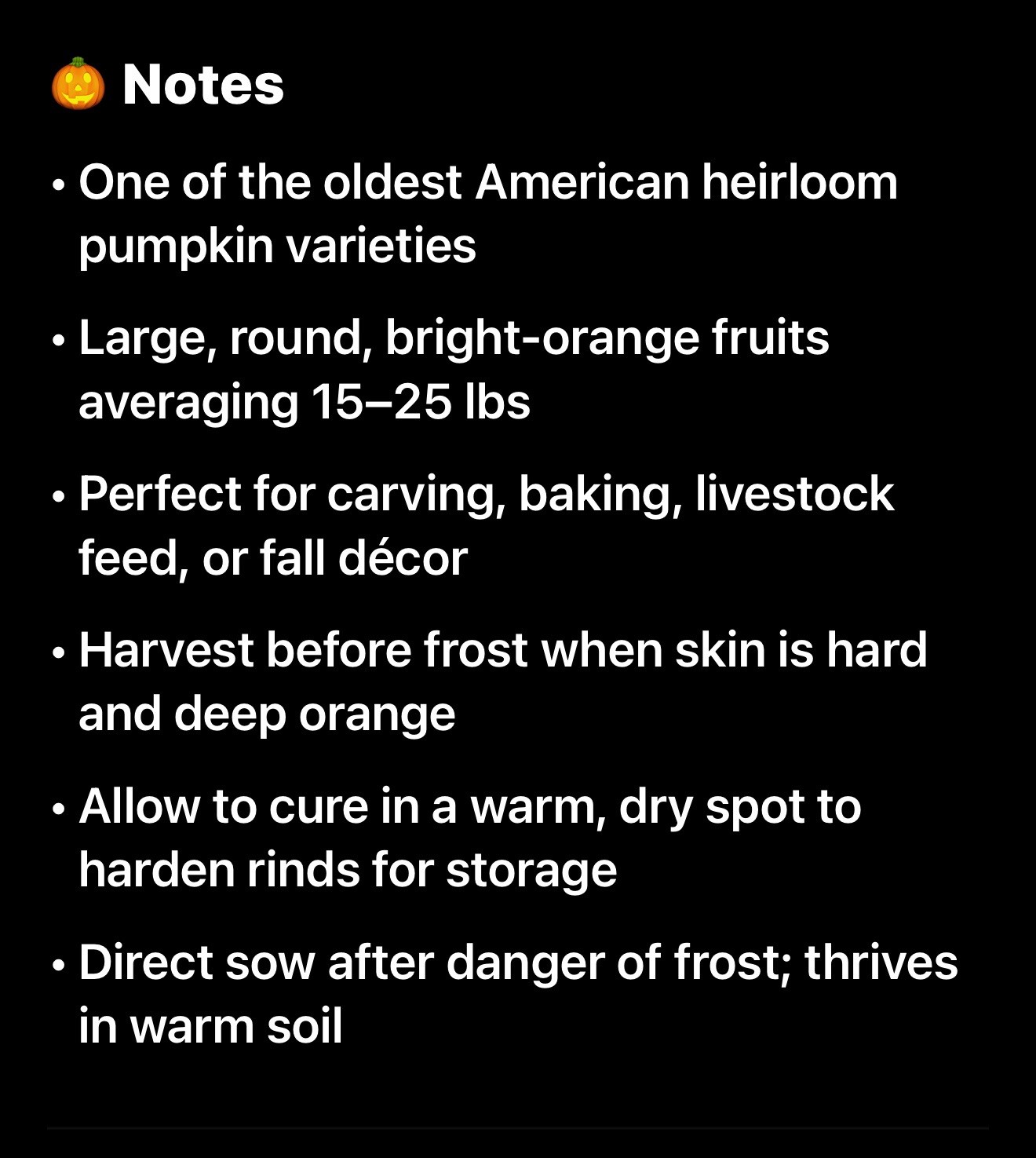 Pumpkin Connecticut Field Seeds, Traditional Pumpkin, Non-GMO, Free Shipping