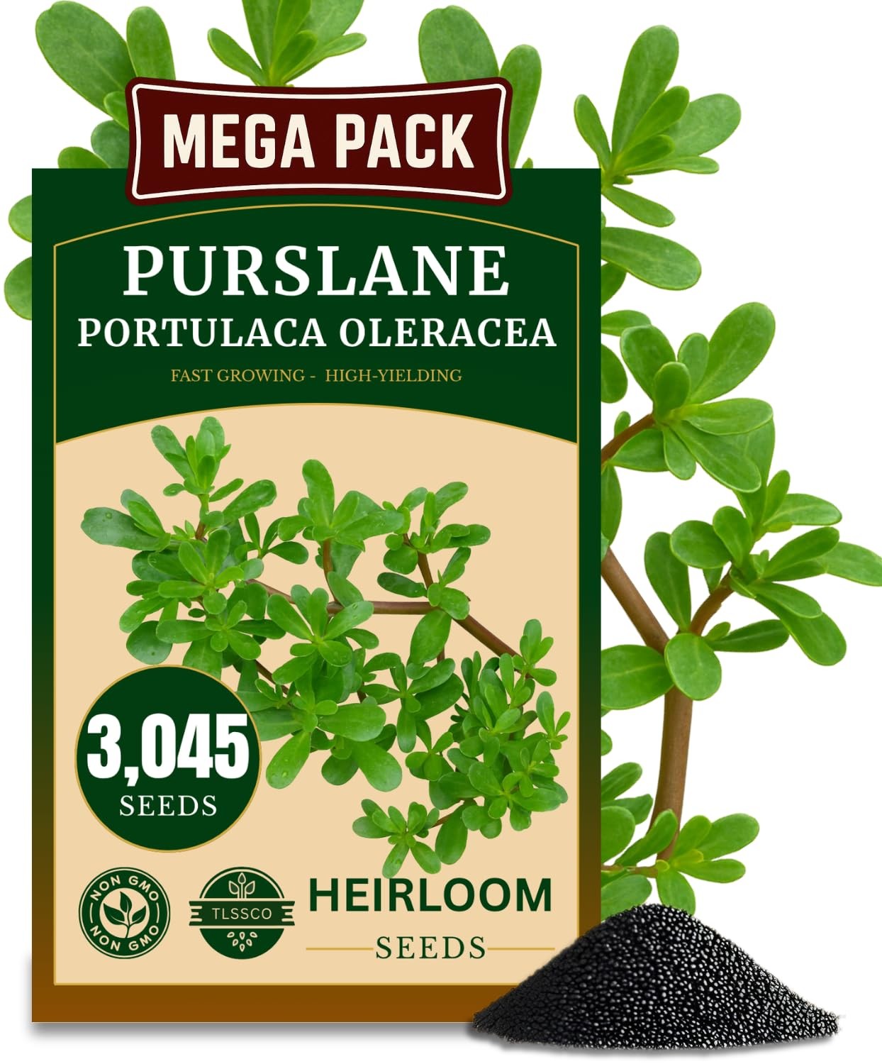 3000+ NonGMO Green Purslane Seeds FastGrowing, HighYielding Variety