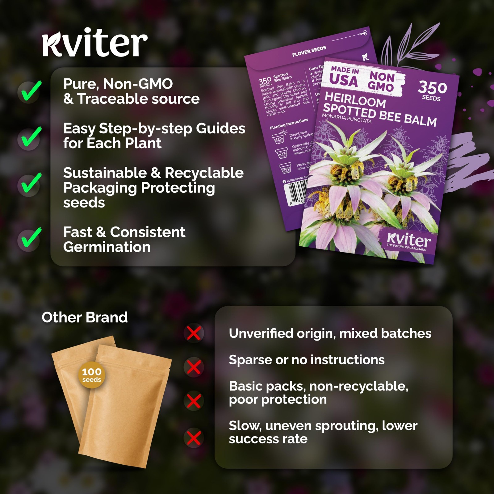 KVITER 350 Spotted Bee Balm Seeds (Monarda Punctata)