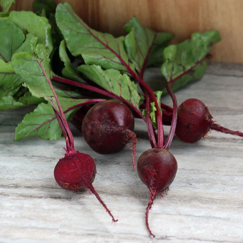 350 Dark Red Detroit Beet Seeds  NON-GMO