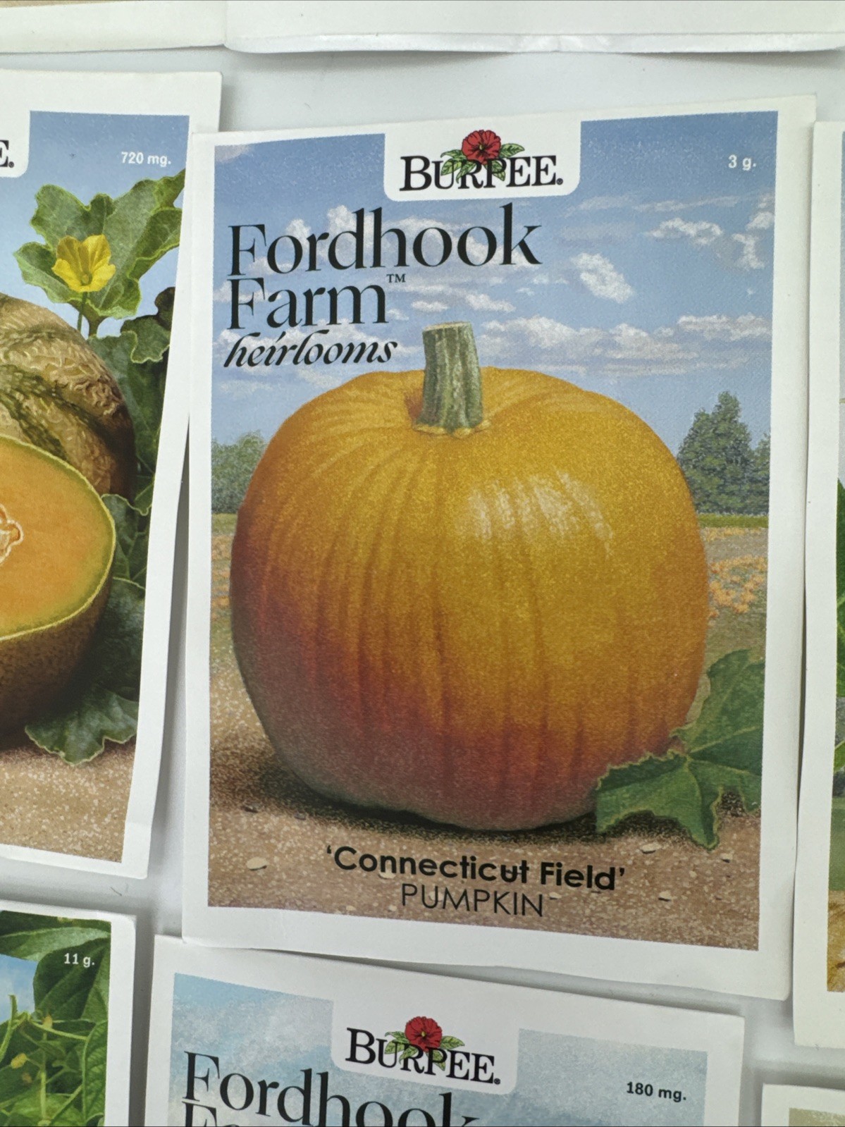 Fordhook Farm Heirlooms Burpee Non-GMO 288 Seed Packs 21 Mixed Varieties Prepper