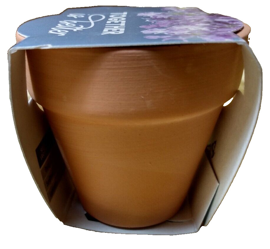 BUZZY 2″ Mini Grow Kit Terra Cotta Pot, Lavender, 4/Pack