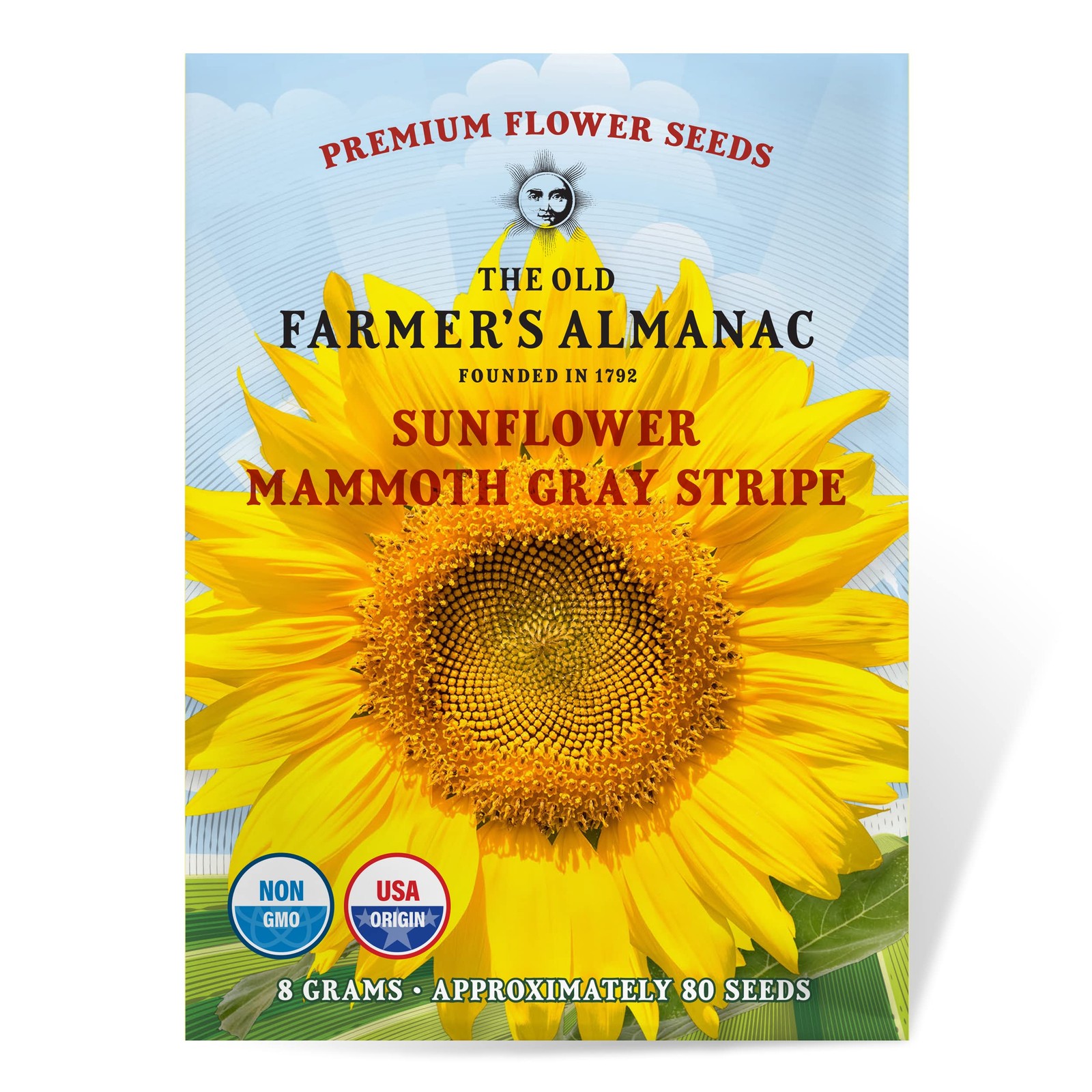 Mammoth Gray Stripe Sunflower Seeds, Approx 100 Non-GMO Premium Flower Seeds