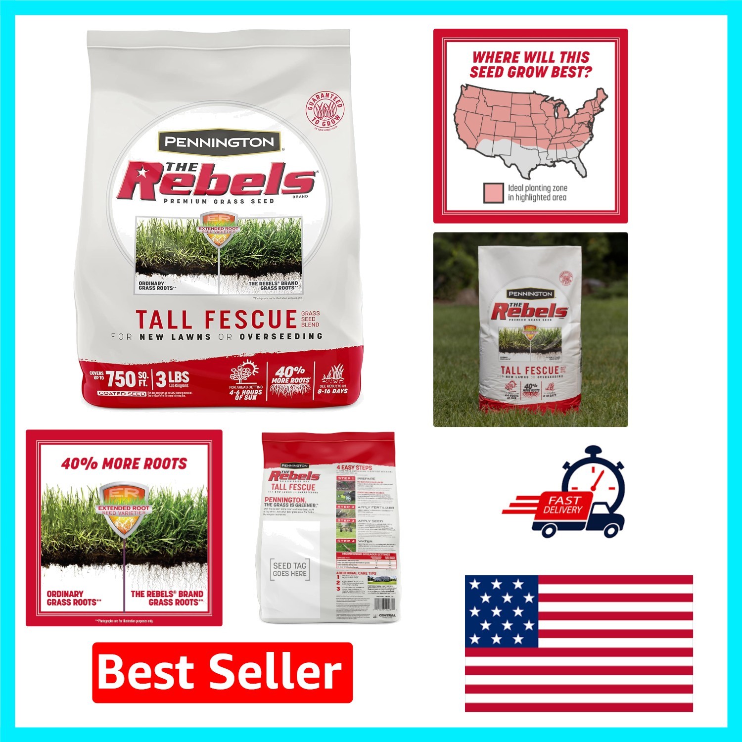 Tall Fescue Grass Seed – The Rebels 3 lb for Tough Conditions & Low Maintenance