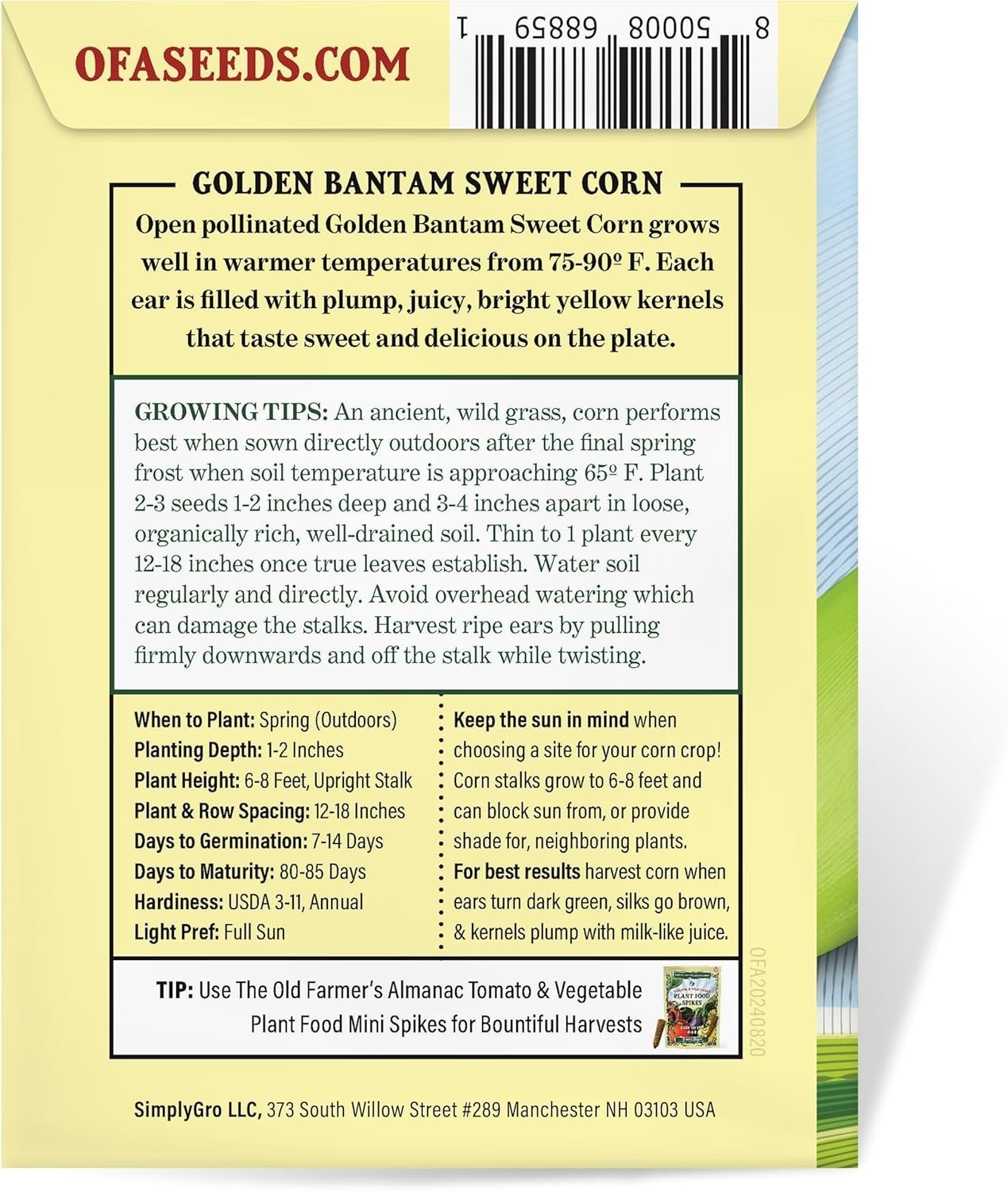 Grow Sweet Corn: 75 Non-GMO Heirloom Golden Bantam Seeds for Spring Planting