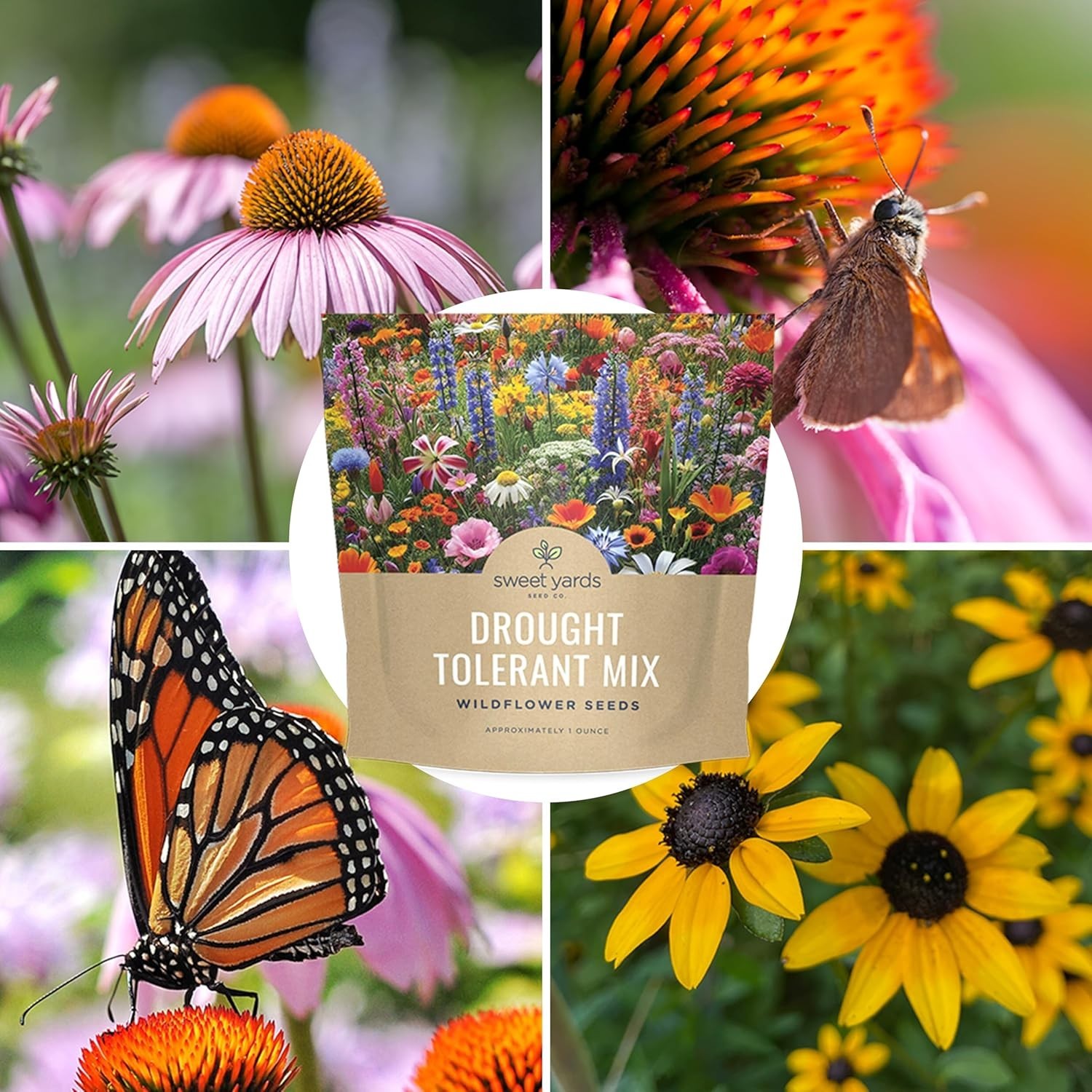 Extra Large Wildflowers Mix – 7,500 Non-GMO Seeds for Vibrant Gardens