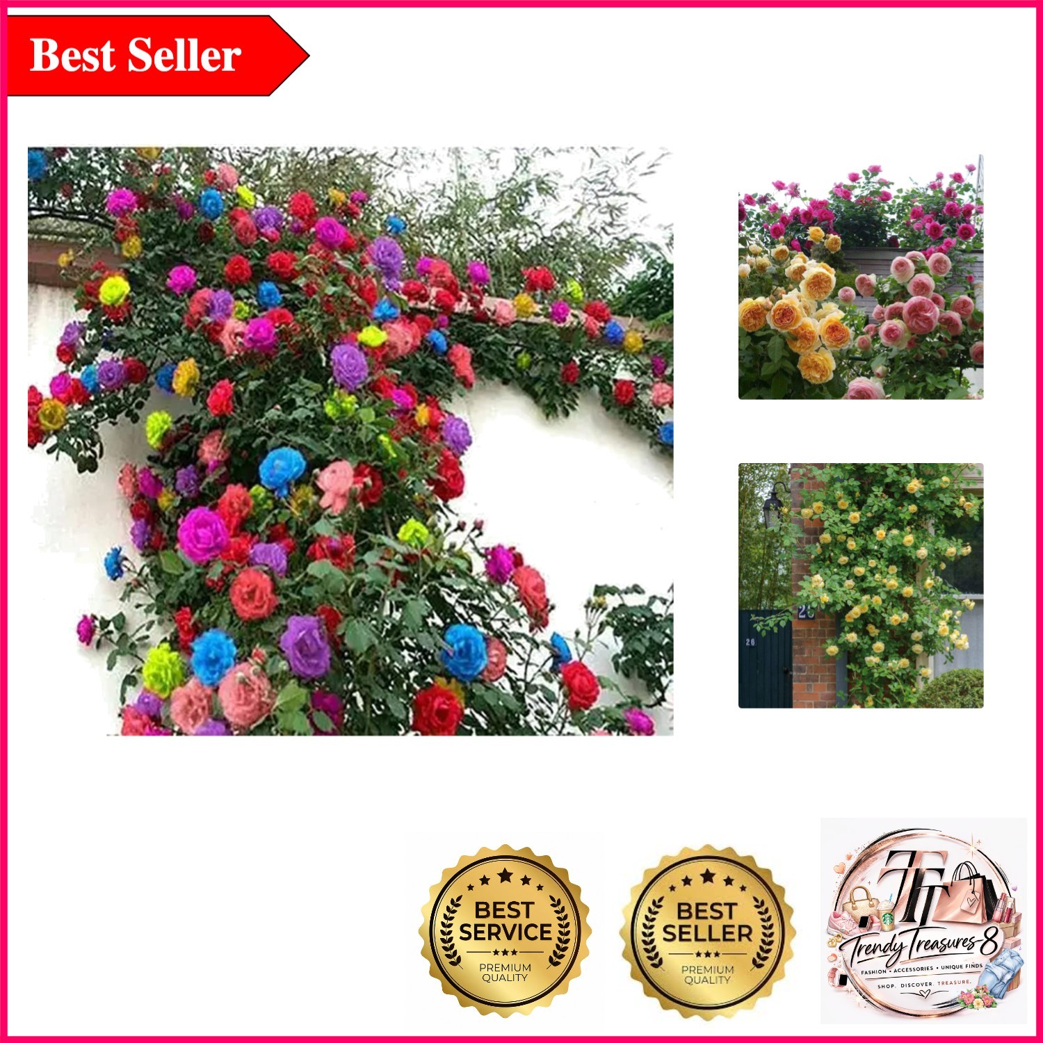 200+ Mix Climbing Rose Seeds – Long-Blooming, Air-Purifying, Ornamental Vines…