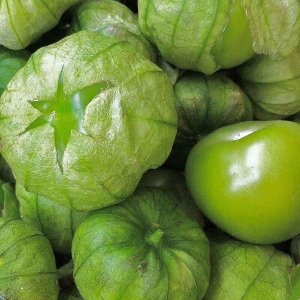 Grande Rio Verde Tomatillo Seeds 50 Ct Vegetable HEIRLOOM NON-GMO USA FREE S&H