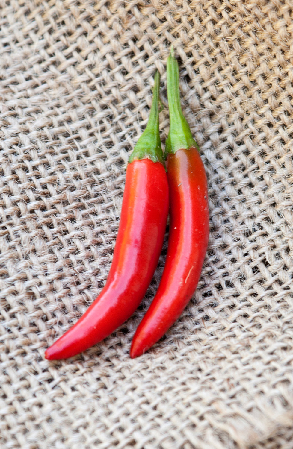 Kimchi Traditional Korean Variety Chile Heirloom Pepper Premium Seed Packet