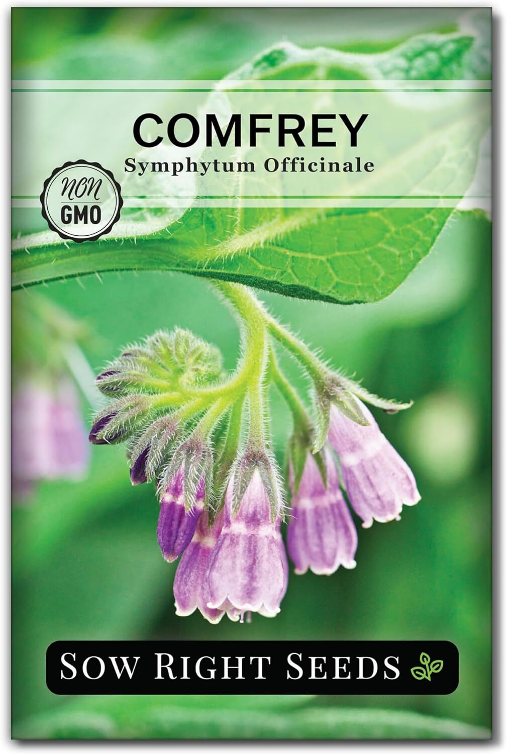 Comfrey Seeds – Non-Gmo Heirloom Packet for Indoor/Outdoor Herb Garden (1)