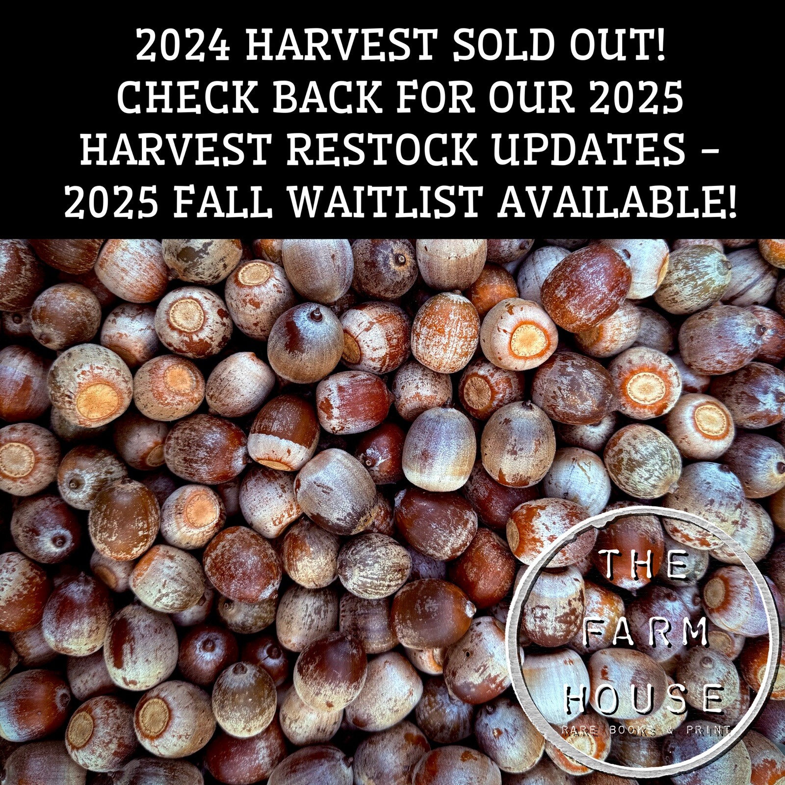 50 POUNDS FRESH 2024 RED OAK ACORNS – DEER & WILDLIFE FEED – PLANTING – NJ FARM!