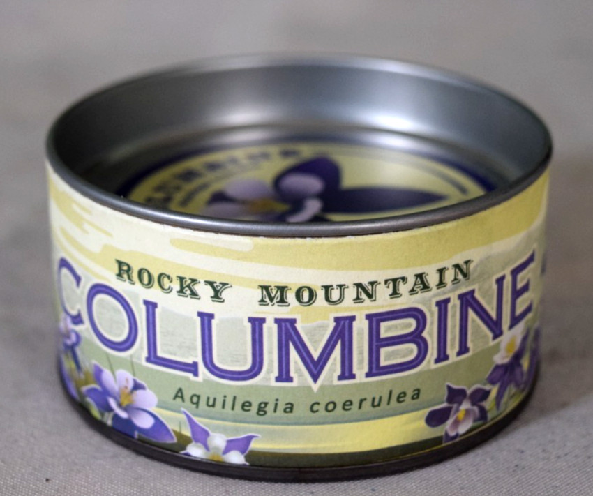 Rocky Mountain Columbine | Flower Seed Grow Kit | The Jonsteen Company
