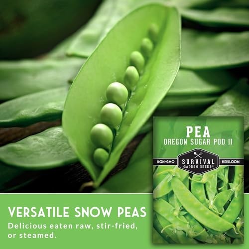 Oregon Sugar Pod II Snow Pea Seeds for Planting – Crisp Edible Pods, High 2