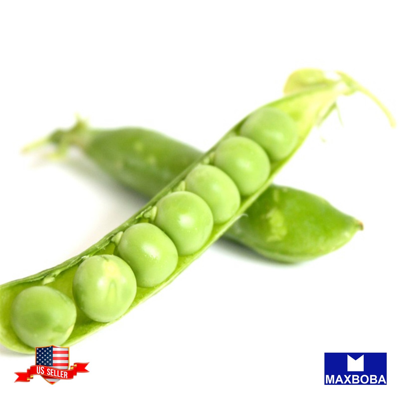 Pea Seeds Lincoln Non-GMO Heirloom Vegetable
