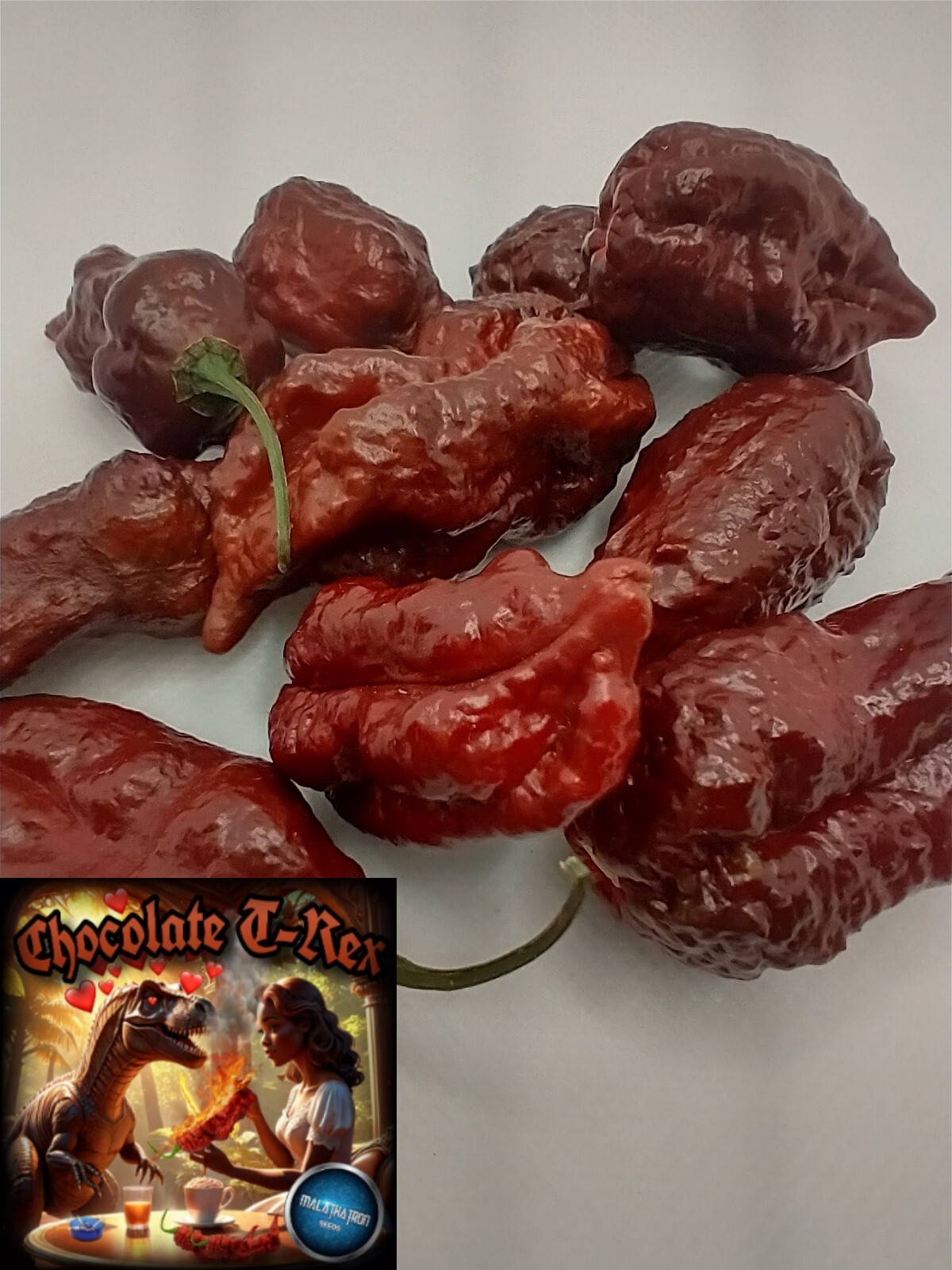 Humongous Hell Hot Heat Haul – 6 Superhot Varieties – Superhot! 120 Seeds Total!