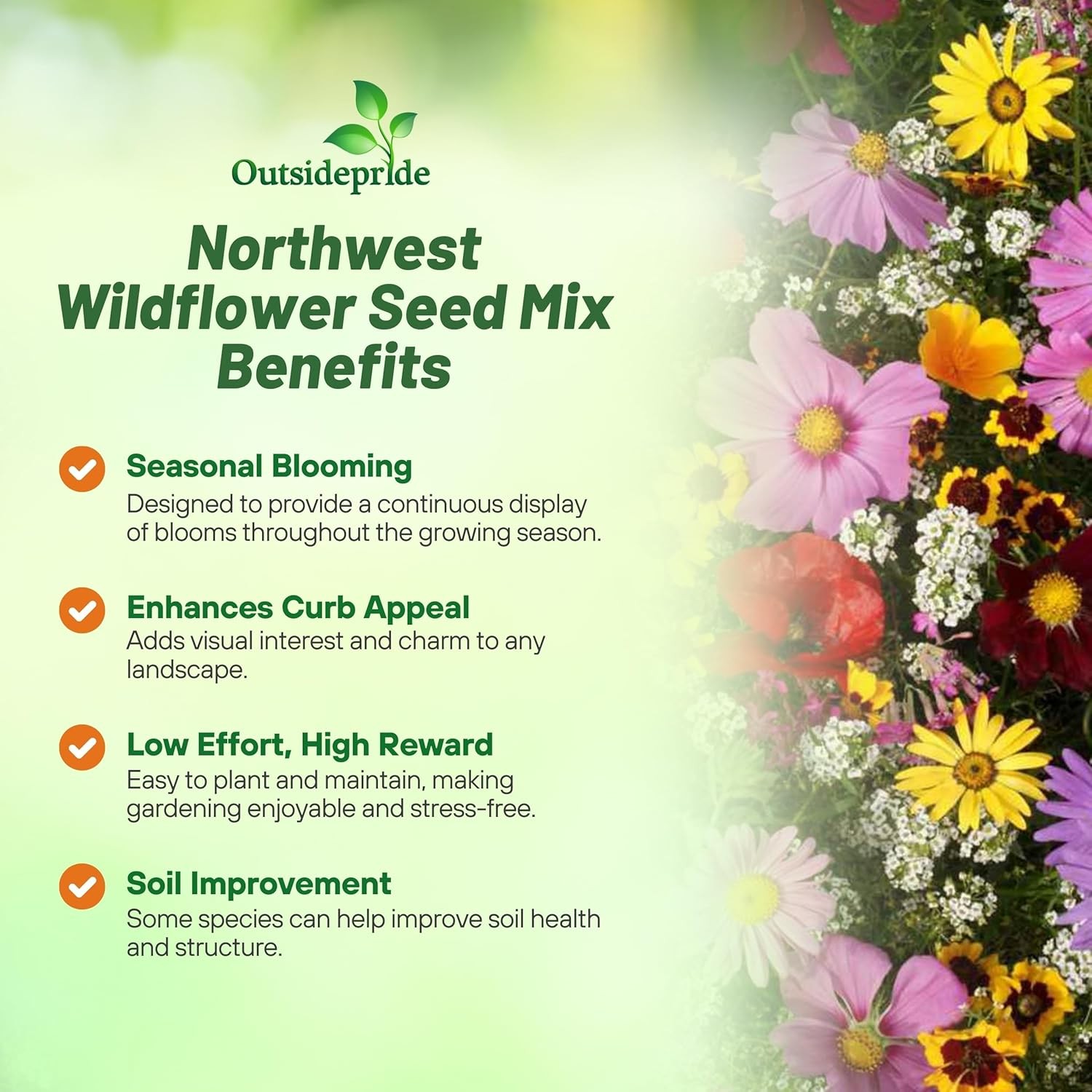 1 LB Pacific Northwest wildflower seed mix from Outsidepride.