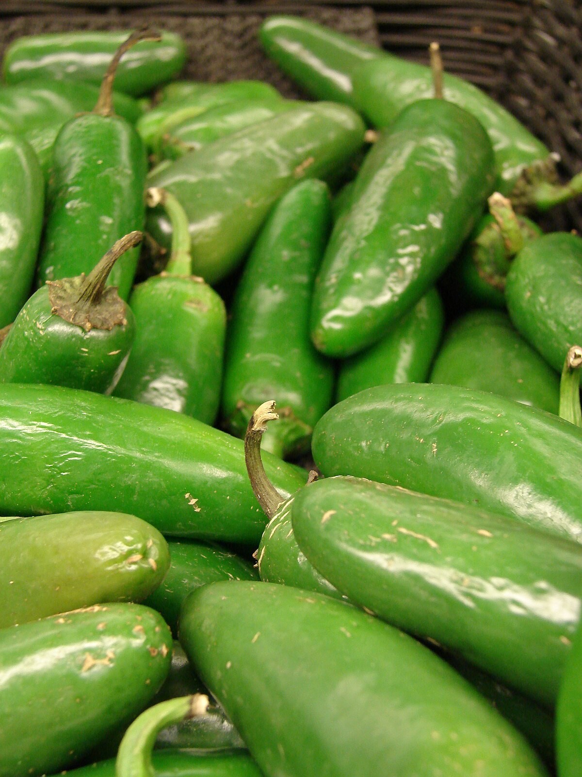 50+ Hot Pepper Seeds Jalapeno Tam /Non-GMO | RARE | Heirloom Seeds