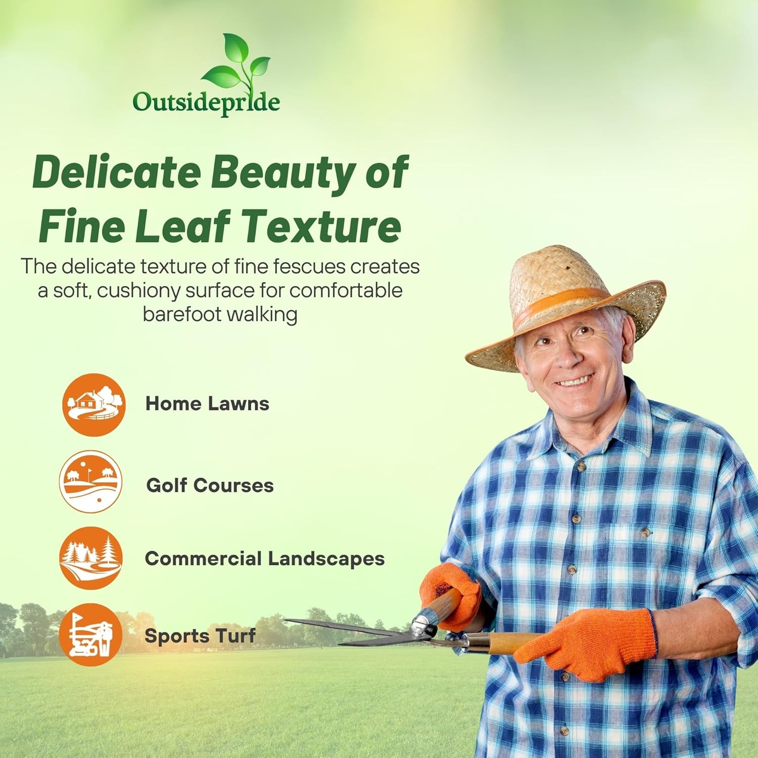 5 LBS – OptiGrowth Coated Legacy Fine Fescue Grass Seed For Lawns – Grass